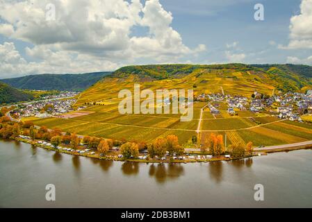 Wine landscape near Cochem and Leiwen on the Moselle Stock Photo