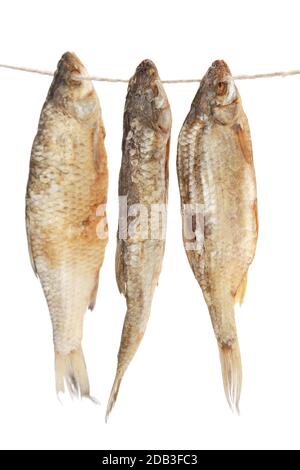 A vertical shot of dried fish hanging on a rope isolated on white  background Stock Photo - Alamy