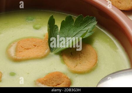 Dish of pea puree with croutons Stock Photo