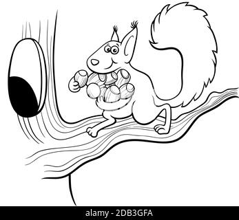 Black and white cartoon illustration of funny squirrel animal character carrying acorns to the hollow in the tree coloring book page Stock Vector