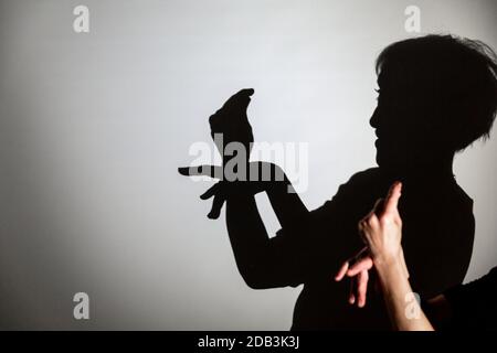 play shadow projected on a white screen. the person's hands shape a pigeon Stock Photo