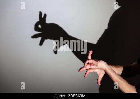 play shadow projected on a white screen. the person's hands shape a rabbit Stock Photo