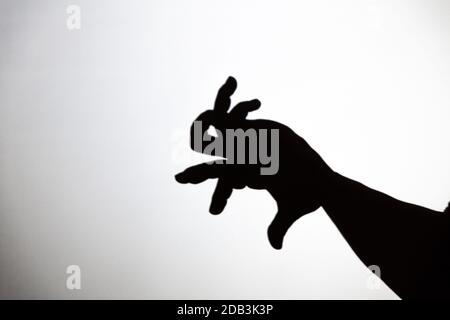 play shadow projected on a white screen. the person's hands shape a rabbit Stock Photo