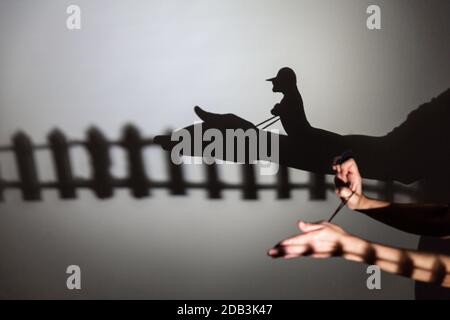 play shadow projected on a white screen. the person's hands shape the horse and rider Stock Photo