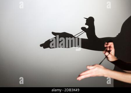 play shadow projected on a white screen. the person's hands shape the horse and rider Stock Photo