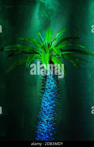 Close up of a Madagascar palm tree in sunlight abstract Stock Photo