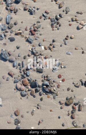 Sandy bottom on the seashore with pebbles and shells as a background Stock Photo