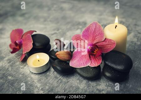 spa and wellness. orchid flowers with massage stones and candles on rock background Stock Photo