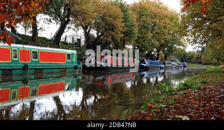 A line of colourful moored canal boats at Adlington on a autumn day make a bright contrast to the leaves that are turning golden and falling Stock Photo