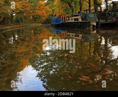 The autumn leaves have fallen into the waters of the Leeds and Liverpool canal and are slowly floating along passing the moored boats near Adlington Stock Photo