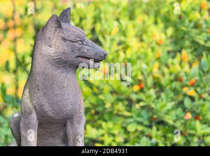 statue of foxes inari, deity of rice in the Shinto shrine of Mejiro Toyosaka Inari Jinja in Tokyo. Stock Photo