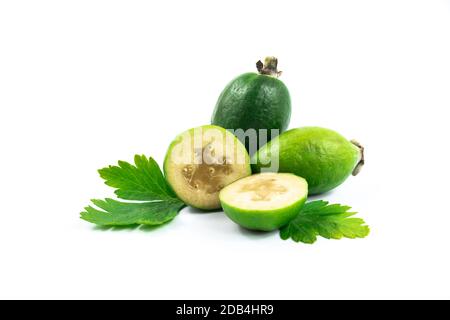 Feijoa tropical fruit pineapple guava Acca sellowiana on a white background perfect photo as a template or for a website, close up Stock Photo
