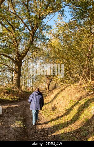 Exercise during the second coronavirus lockdown November 2020. An autumn walk in the woods. Stock Photo