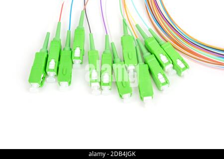green fiber optic SC connectors fan out isolated on white background Stock Photo