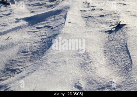 snow cold drifts from which grass sticks out, frosts and snowfalls in nature Stock Photo
