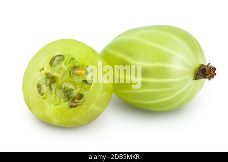 画材 Gooseberry BOTANICAL FRUIT PRINT Wendel Art 32 Beautiful Gooseberry