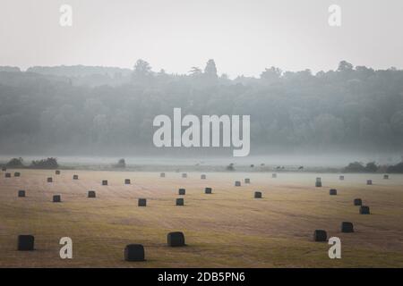 Farming field with silage bales at hazy autumnal morning in Shropshire, United KIngdom Stock Photo