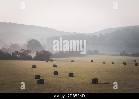 Farming field with silage bales at hazy autumnal morning in Shropshire, United KIngdom Stock Photo