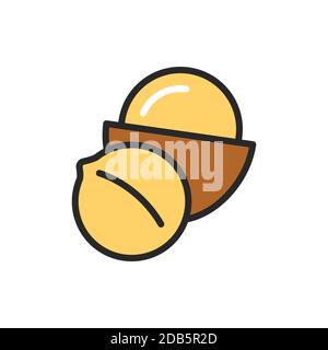 Macadamia color line icon. Isolated vector element. Outline pictogram for web page, mobile app, promo. Stock Vector