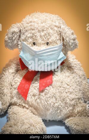 Bear masks immagini e fotografie stock ad alta risoluzione - Alamy