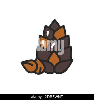 Pine nuts color line icon. Isolated vector element. Outline pictogram for web page, mobile app, promo. Stock Vector