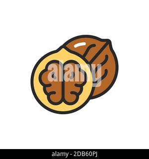 Walnut color line icon. Isolated vector element. Outline pictogram for web page, mobile app, promo. Stock Vector