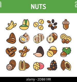 Nuts and seeds color line icons set. Isolated vector element. Outline pictograms for web page, mobile app, promo. Stock Vector