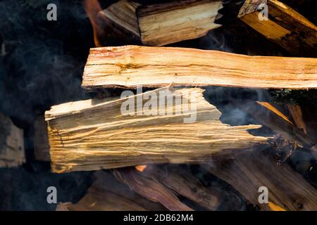 burning felled trees and logs in the flames of the fire, details of the burned part of natural materials, close-up Stock Photo