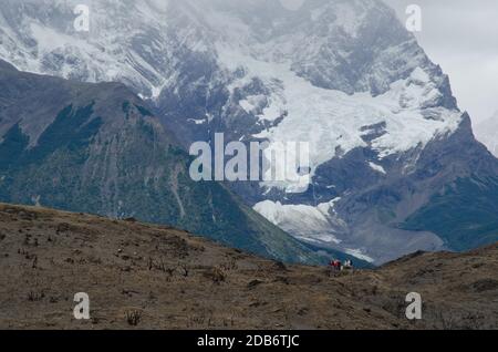 Hikers on land burned in the Torres del Paine National Park by the great fire in 2011-2012. Ultima Esperanza Province. Magallanes and Chilean Antarcti Stock Photo