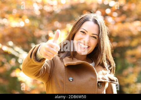 Front view portrait of a happy woman gesturing thumb up in autumn in a park Stock Photo