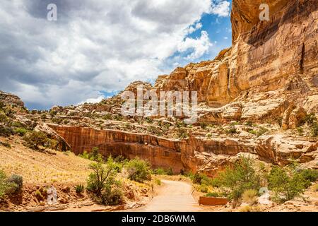 Canyons and eroded sandstone and limestone formations dominate the landscape at Capitol Reef National Park in Utah. Stock Photo