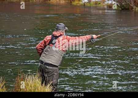 A fly fisherman casts for giant bull trout on a cool early winter day in the Metolius River near the town of Sisters in the Cascade Mountains of centr Stock Photo