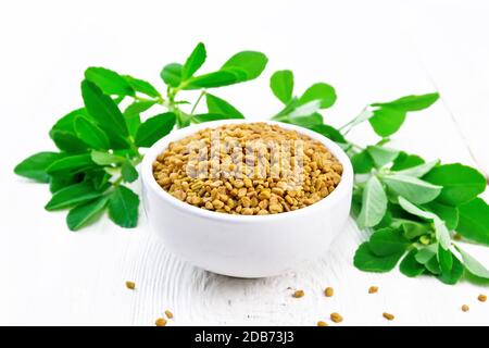 Fenugreek seeds in a bowl and on a table, green seasoning leaves on wooden board background Stock Photo