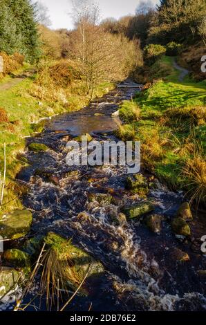 Stream with slight motion blur and selective focus on foreground at Lead Mines Clough, Anglezarke near Rivington Stock Photo