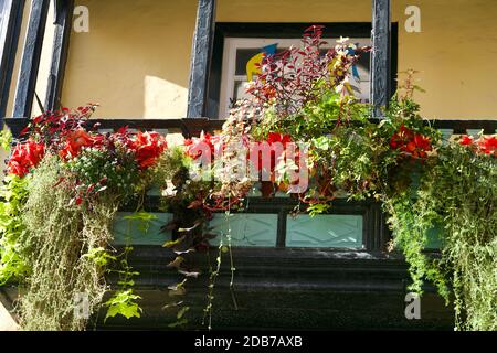 Flowered balcony in Santa Cruz de La Palma Stock Photo