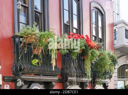 Famous flowered balconies of Santa Cruz de La Palma Stock Photo