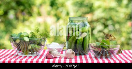 Ingredients for the preservation of cucumbers. Spice garlic and cucumbers in a jar on a red checkered tablecloth. Natural green background Stock Photo