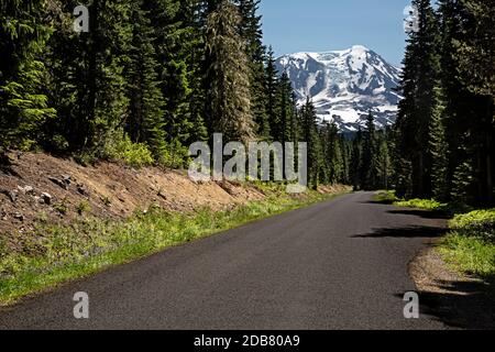 WA18154-00...WASHINGTON - Mount Adams viewed from Forest Road 23 in the Gifford Pinchot National Forest. Stock Photo