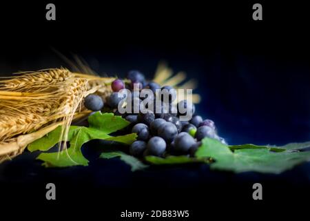 wheat grapes bread and crown of thorns on black background as a symbol of Christianity Stock Photo