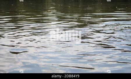 Wavy Water Surface At The Lake Background Stock Photo