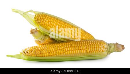 Three cobs of corn with green leaves isolated on white background Stock Photo