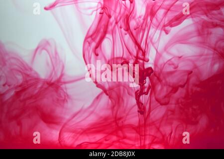 Pink Color drops in water background Stock Photo