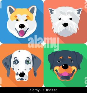 Vector dog Akita Inu, Dalmatian, Rottweiler and West Highland White Terrier breed face icon flat design Stock Photo