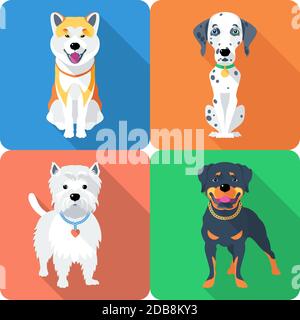 Vector dog Akita Inu, Dalmatian, Rottweiler and West Highland White Terrier breed face icon flat design Stock Photo