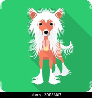 Vector serious dog Chinese Crested standing icon flat design Stock Photo