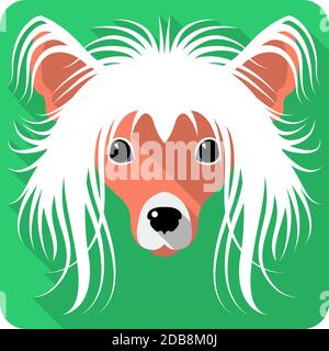 Vector serious dog Chinese Crested icon flat design Stock Photo