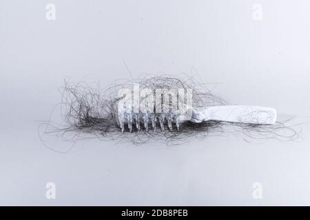 Bad combing causes hair damage Stock Photo