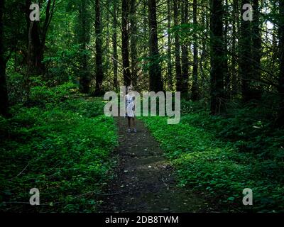 Girl walking through the forest in summer, Bialowieza, Podlasie, Poland Stock Photo