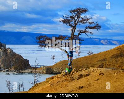 A lone tree standing among the rocks, decorated with bright ribbons on the lake shore. Stock Photo