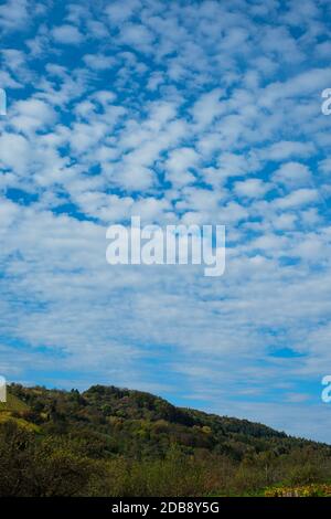 Fleecy clouds over a forest in autumn in vertical format Stock Photo